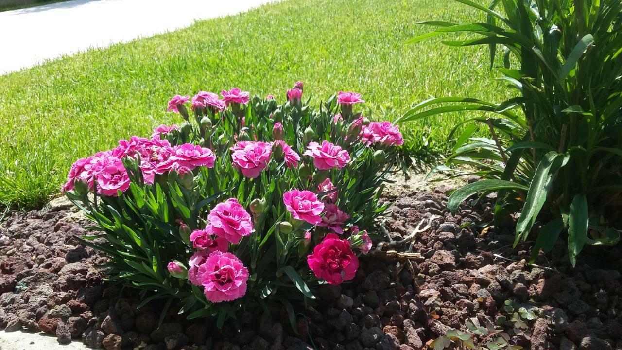 Residenza Leon Bed & Breakfast Castelnuovo del Garda Bagian luar foto